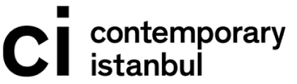 Contemporary Istanbul